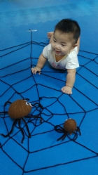 大蜘蛛來娃娃國囉!!