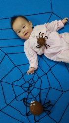 大蜘蛛來娃娃國囉!!