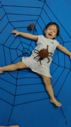 大蜘蛛來娃娃國囉!!