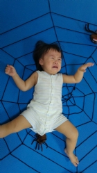 大蜘蛛來娃娃國囉!!