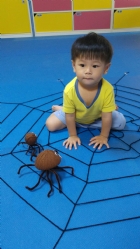 大蜘蛛來娃娃國囉!!