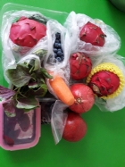 新竹竹北娃娃國托嬰中心/托兒所 可愛相本