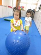 感覺統合~大龍球~