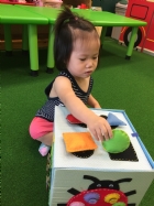 多元衣飾箱