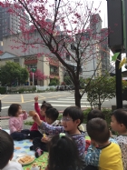 春暖花開賞櫻去!!