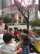 春暖花開賞櫻去!!