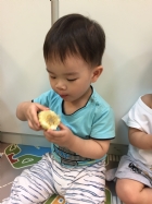 來吃水果玉米!!!