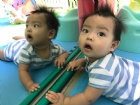 嬰兒房的寶寶活動區很大哦！就是要讓寶寶的肢體獲得最大的伸展，不要浪費時間，趕快來看寶寶運動吧！