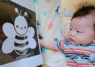 荳荳班寶寶個人生活