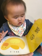 觸覺書