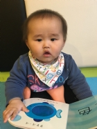 觸覺書