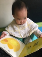 觸覺書