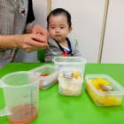 寶寶手作櫻花凍