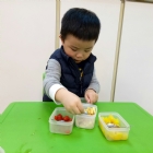 寶寶手作櫻花凍