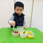 寶寶手作櫻花凍
