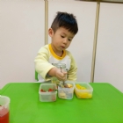 寶寶手作櫻花凍