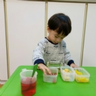 寶寶手作櫻花凍