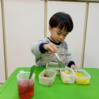 寶寶手作櫻花凍