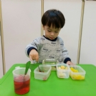 寶寶手作櫻花凍