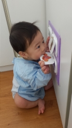 老師的牆面教具