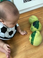 中秋節的柚子～摸摸看、聞聞看哦！