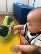 中秋節的柚子～摸摸看、聞聞看哦！