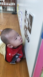 老師手做的圖卡，寶寶的眼睛看到了什麼呢？可以偷偷告訴我嗎？