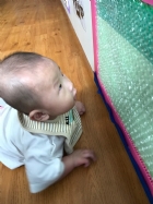 老師手做的圖卡，寶寶的眼睛看到了什麼呢？可以偷偷告訴我嗎？