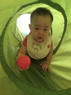 我最喜歡玩鑽籠哦!