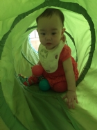 我最喜歡玩鑽籠哦!