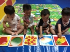 荳芽班寶寶字卡認識