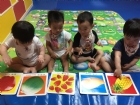 荳芽班寶寶字卡認識
