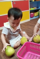 10809節慶活動～柚子與我