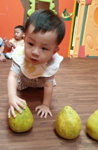 10809節慶活動～柚子與我