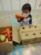 10911荳苗班開心農場之拔蘿蔔