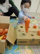 10911荳苗班開心農場之拔蘿蔔