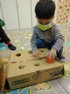 10911荳苗班開心農場之拔蘿蔔
