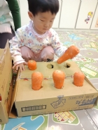 10911荳苗班開心農場之拔蘿蔔