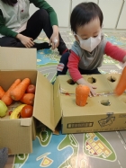 10911荳苗班開心農場之拔蘿蔔