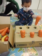 10911荳苗班開心農場之拔蘿蔔