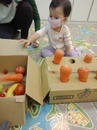10911荳苗班開心農場之拔蘿蔔