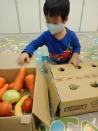 10911荳苗班開心農場之拔蘿蔔