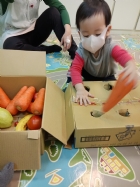 10911荳苗班開心農場之拔蘿蔔