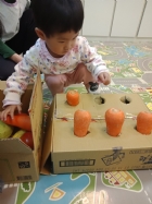 10911荳苗班開心農場之拔蘿蔔