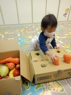 10911荳苗班開心農場之拔蘿蔔