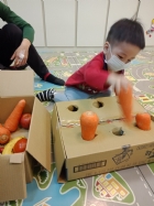10911荳苗班開心農場之拔蘿蔔