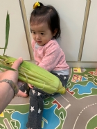 摸一摸,看一看,聞一聞,告訴老師這是什麼水果哦!