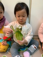 摸一摸,看一看,聞一聞,告訴老師這是什麼水果哦!