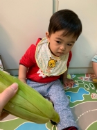 摸一摸,看一看,聞一聞,告訴老師這是什麼水果哦!