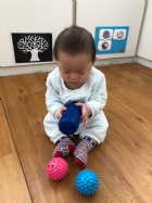 10902奇妙的觸感～刺刺球～